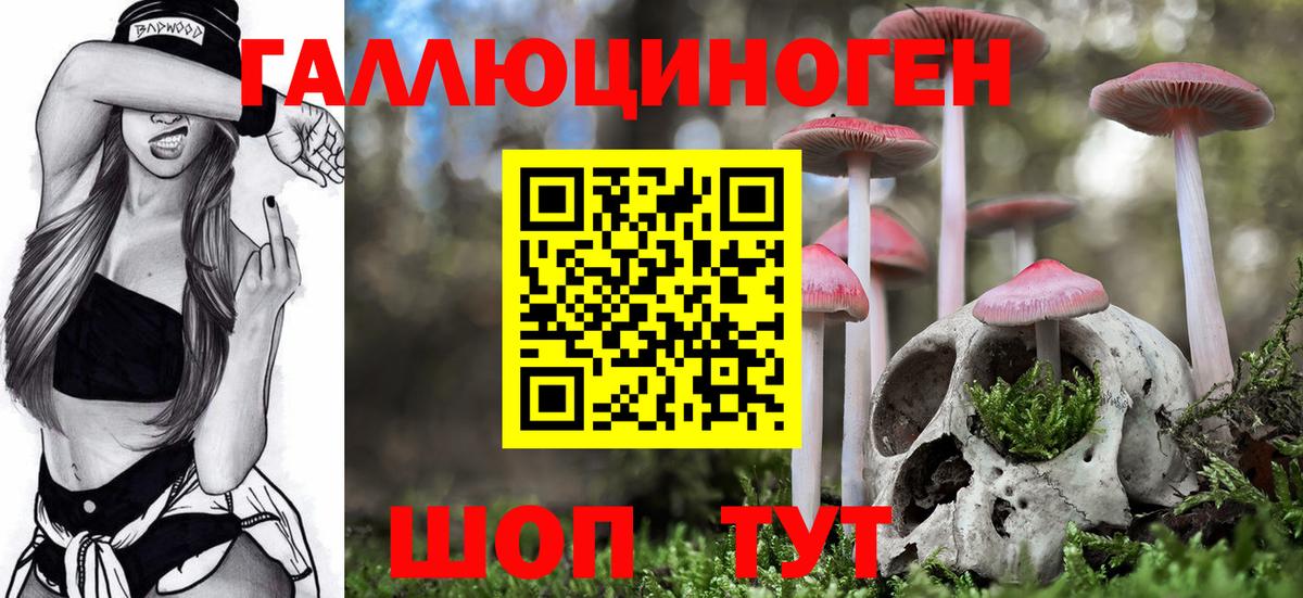Псилоцибиновые грибы прущие грибы  Псилоцибиновые грибы Psilocybine cubensis  Гусиноозёрск  Вход с VPN 