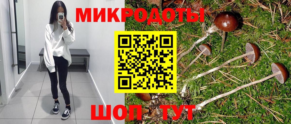 Псилоцибиновые грибы GOLDEN TEACHER Гусиноозёрск